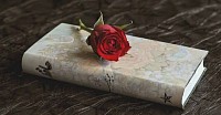 ❤️‍🔥হারানো স্মৃতি🥀